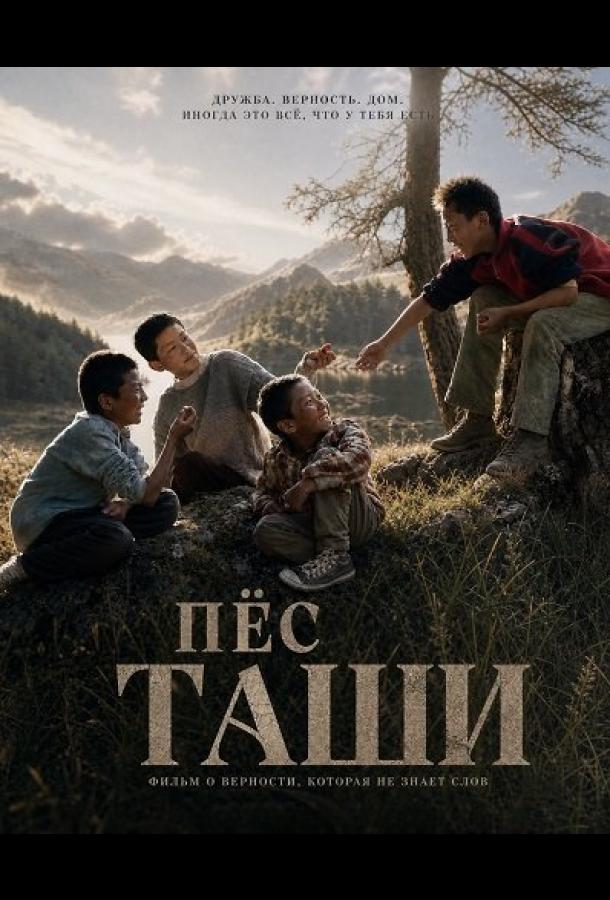 Пёс Таши